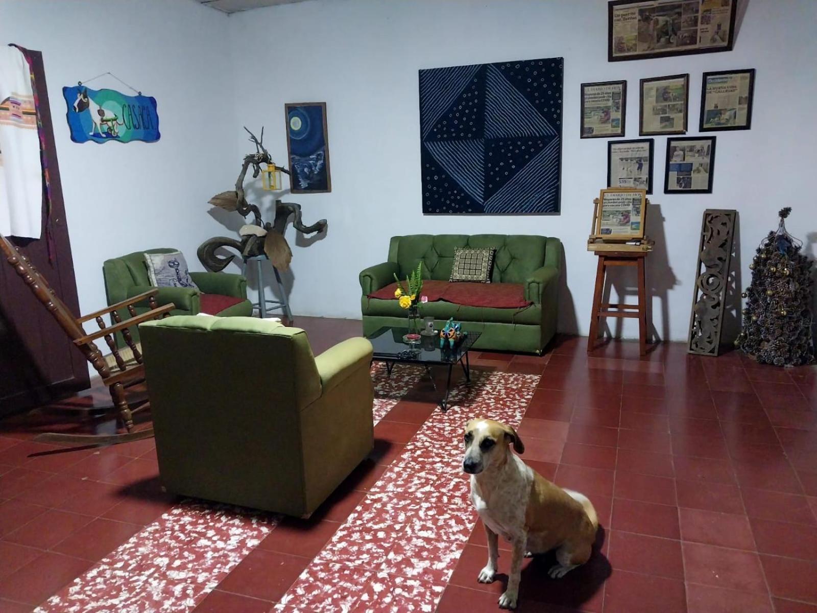 Apartamento Casaca Concepción de Ataco Exterior foto